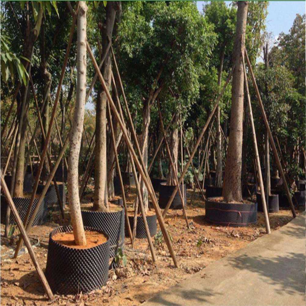Grow Container Garden Tree Bon - Outdoor Furniture ulasan dan harga