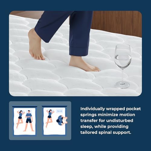 Queen Size Mattress 12 Inch, C - Memory Foam Mattress In A Box Queen ulasan dan harga